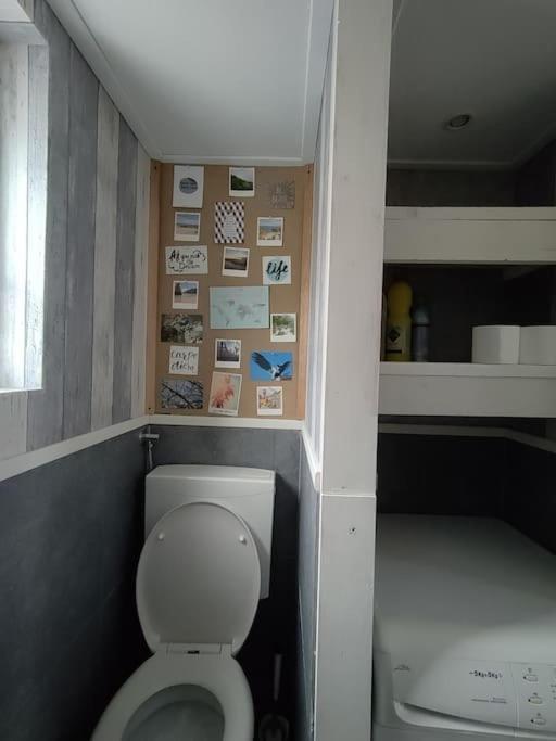Chalet Midden In De Natuur! Anloo المظهر الخارجي الصورة