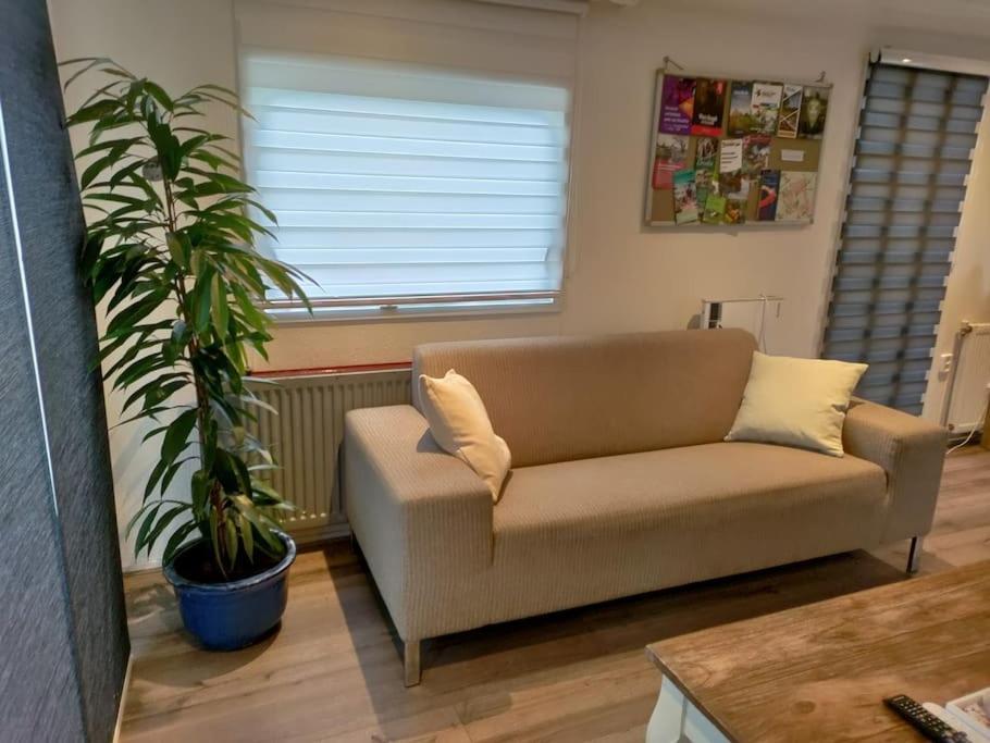 Chalet Midden In De Natuur! Anloo المظهر الخارجي الصورة