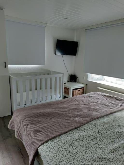 Chalet Midden In De Natuur! Anloo المظهر الخارجي الصورة
