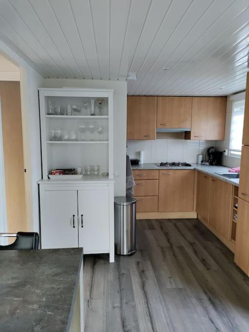 Chalet Midden In De Natuur! Anloo المظهر الخارجي الصورة