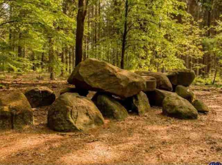 Chalet Midden In De Natuur! Anloo المظهر الخارجي الصورة